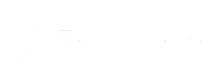 DSTechnoverse Logo